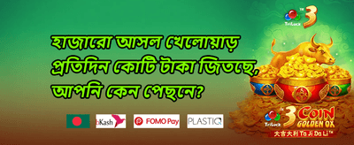 ডেইলি ফ্রি স্পিন মেগা অফার promotion
